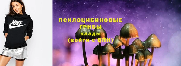 спиды Касимов
